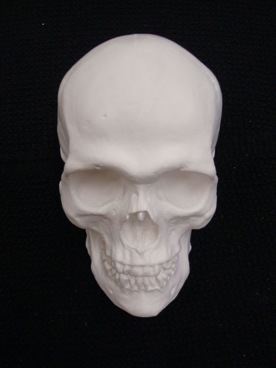 Sculpture intitulée "#Skull White#" par Pio30, Œuvre d'art originale, Céramique