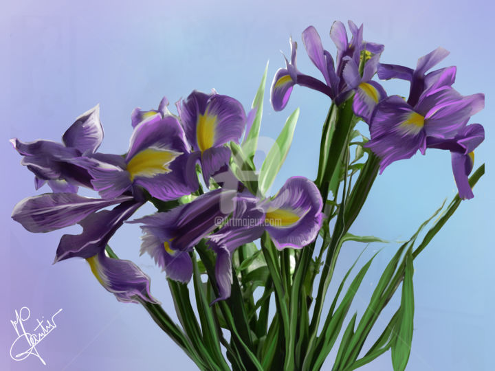 Digital Arts titled "bouquet d'Iris" by Marie-Pierre Gautier, Original Artwork, Digital Painting