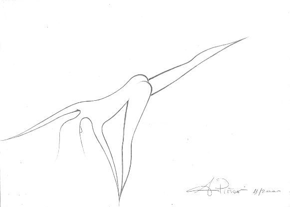 Disegno intitolato "Danzatrice_2" da Andrea Pistoni, Opera d'arte originale, Altro