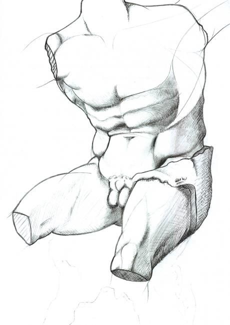 Zeichnungen mit dem Titel "Torso del belvedere…" von Andrea Pistoni, Original-Kunstwerk, Andere
