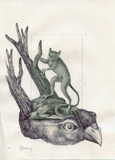 Dessin intitulée "Le Tarsier" par Patrick Jannin, Œuvre d'art originale, Autre