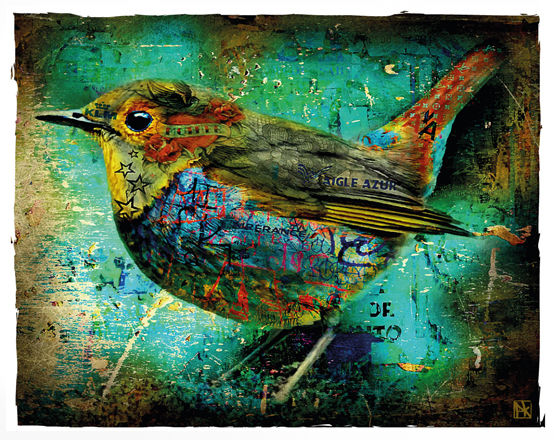 Digitale Kunst mit dem Titel "Birdy Street" von Pk Z, Original-Kunstwerk, Digitale Malerei