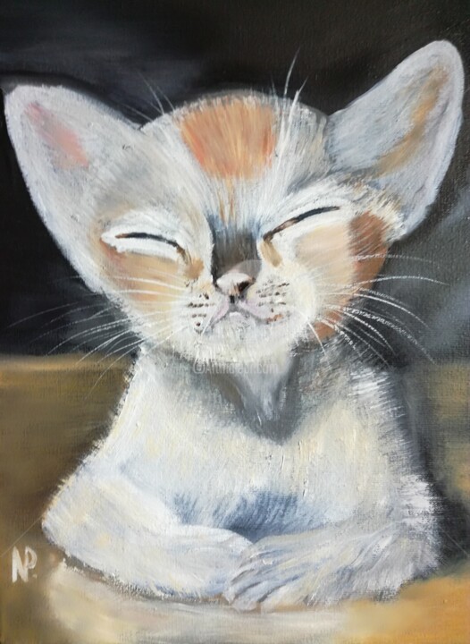 Painting titled "CAT'S MORNING" by Plakhotnyk Nataliia, Original Artwork, Oil