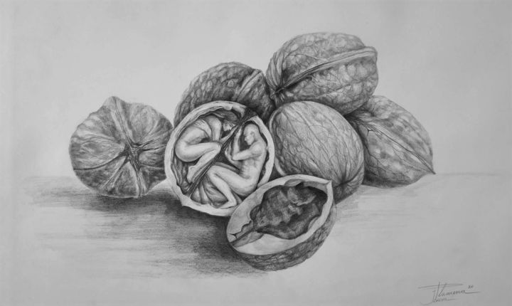 Dessin intitulée "The wall/nut" par Plamnah, Œuvre d'art originale, Crayon