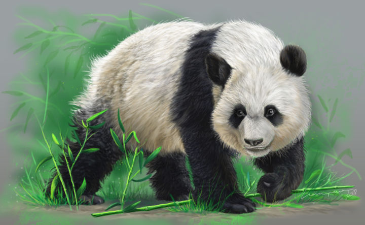 Digital Arts titled "Panda nature.jpg" by Pascal Lampecco, Original Artwork