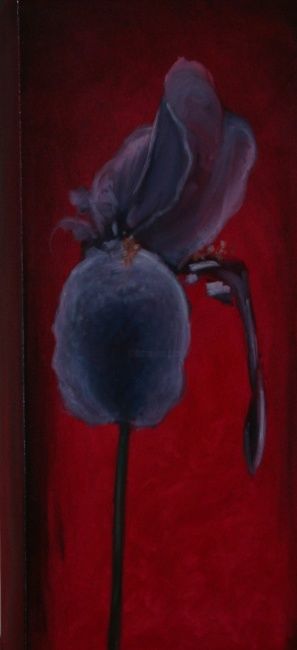 Schilderij getiteld "Bearded Iris" door Patrick Miller, Origineel Kunstwerk