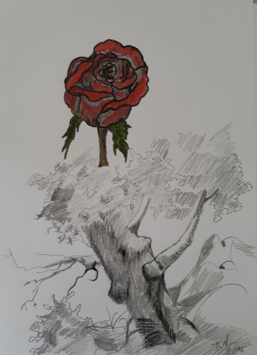 Peinture intitulée "Arbre avec une rose" par Polina, Œuvre d'art originale, Fusain