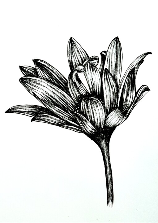 Tekening getiteld "Ink Flower" door Polina Turgunova, Origineel Kunstwerk, Inkt