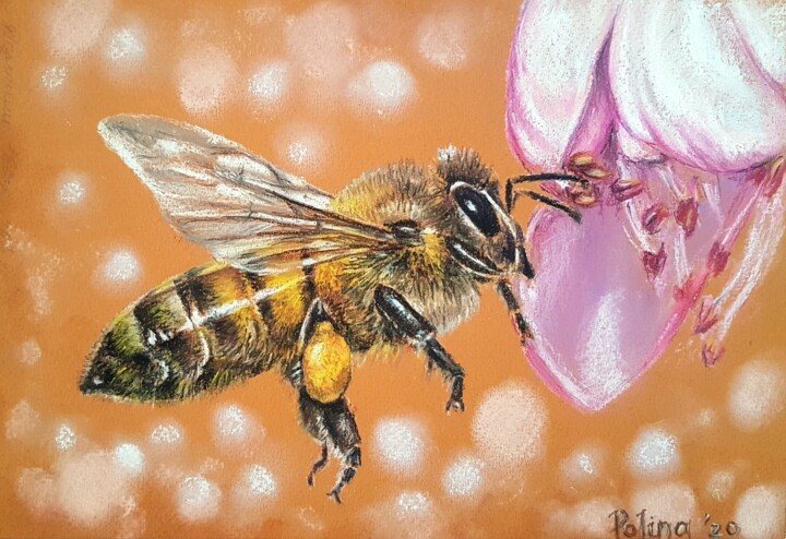 Drawing titled "Bee" by Polina Turgunova, Original Artwork, Pastel