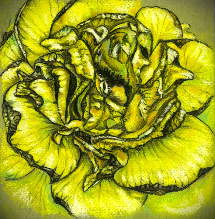 Drawing titled "Withering Yellow Ro…" by Polina Turgunova, Original Artwork, Pastel