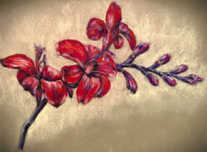 Drawing titled "Red Crocosmia Flowe…" by Polina Turgunova, Original Artwork, Pastel