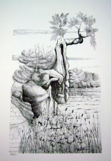 Drawing titled "ulivo" by Pompilio Dospina, Original Artwork, Other