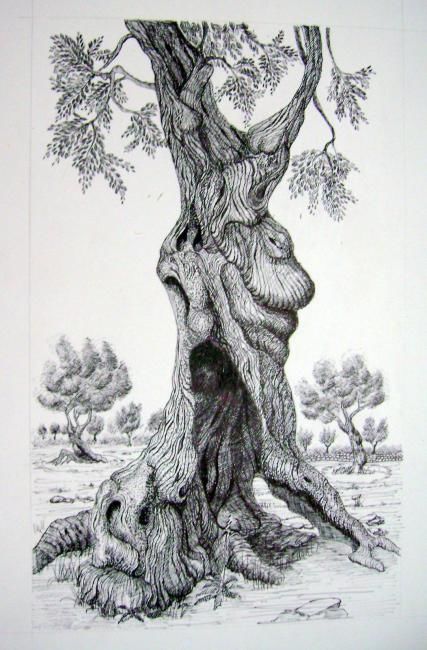 Disegno intitolato "ulivo" da Pompilio Dospina, Opera d'arte originale, Altro