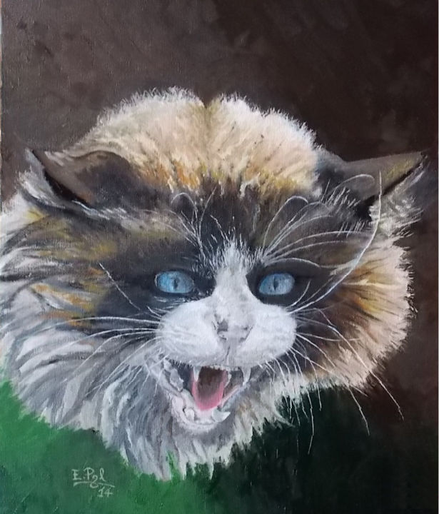 Schilderij getiteld "Gatto arrabbiato" door Ernesto Ponsiglione, Origineel Kunstwerk