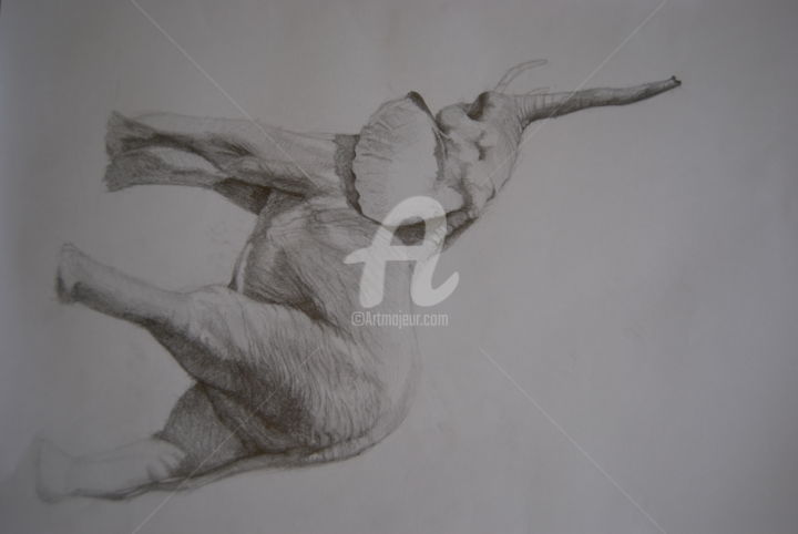 Dessin intitulée "Elephant" par Pedro Portela, Œuvre d'art originale, Crayon