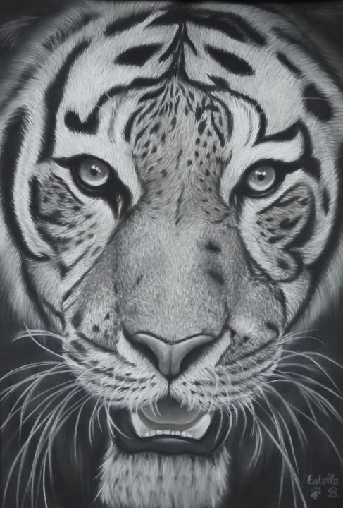 Dibujo titulada "Tigre" por Estelle Bénard, Obra de arte original, Pastel