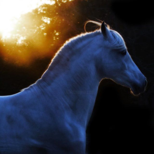 Photography titled "Evening Light" by Deirdre Teasley, Original Art,