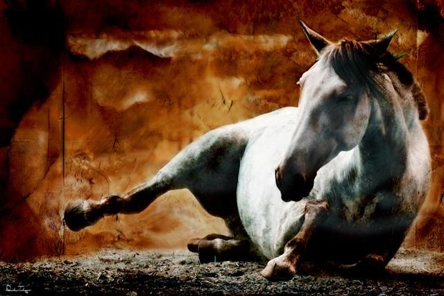 Photography titled "Adobe Horse" by Deirdre Teasley, Original Artwork