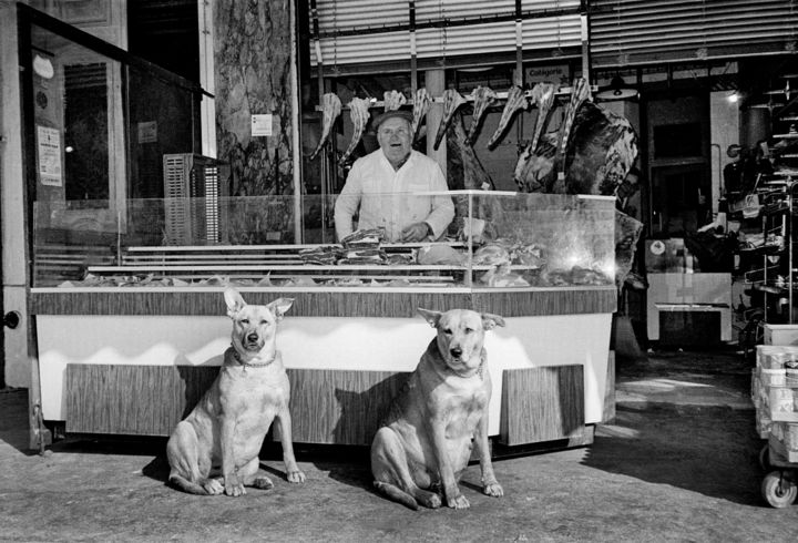 Fotografie mit dem Titel "Schlachterhunde" von Martin Langer, Original-Kunstwerk, Nicht bearbeitete Fotografie