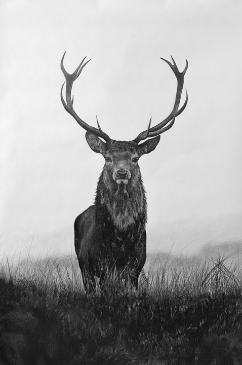 「Лесной олень」というタイトルの描画 Эдуард Поташевによって, オリジナルのアートワーク, 鉛筆