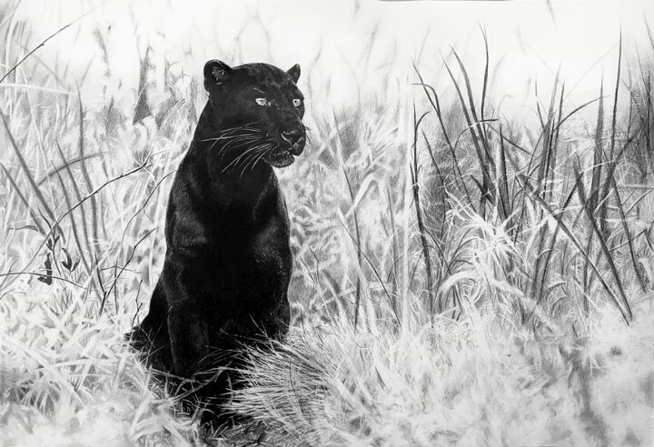 Dessin intitulée "Черная пантера" par Eduard Potashev, Œuvre d'art originale, Crayon
