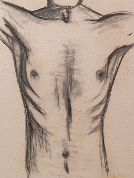 图画 标题为“Body study of male…” 由Rita Pranca, 原创艺术品, 粉笔