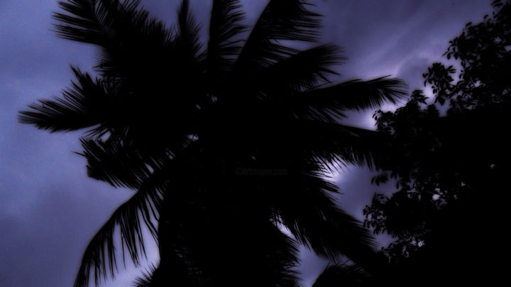 Photography titled "Rejoice" by Prateep Kumar Sengupta, Original Art,