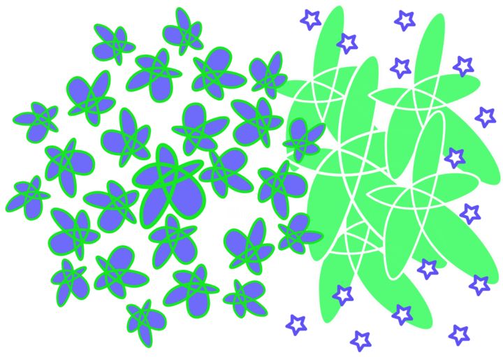 Arts numériques intitulée "floral-stars.png" par Preeta Gopalswami, Œuvre d'art originale