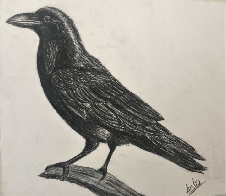 Drawing titled "the raven" by Celi̇L Ağa, Original Artwork, Charcoal
