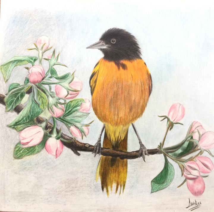 "turuncu kuş" başlıklı Resim Celi̇L Ağa tarafından, Orijinal sanat, Kalem