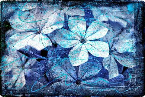 Arts numériques intitulée "Blue Blossoms" par Arte Ermel, Œuvre d'art originale, Peinture numérique