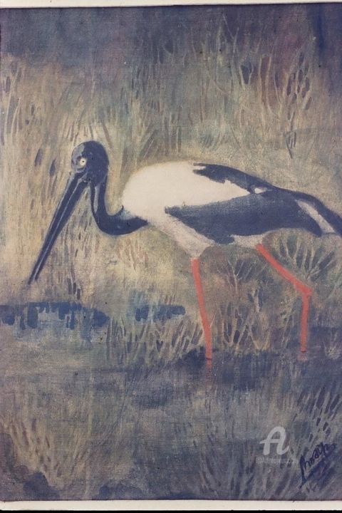 Картина под названием "Black necked stork" - Prodip Kumar Sengupta, Подлинное произведение искусства, Акварель