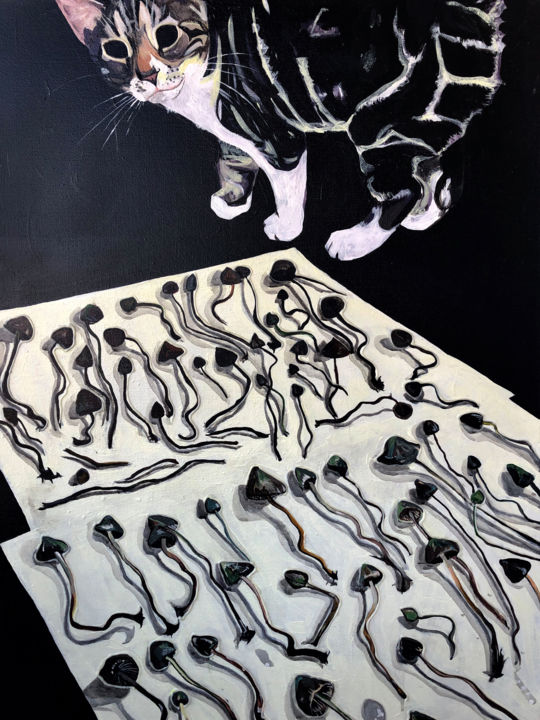 Картина под названием "Drying mushrooms" - Lina Milligan, Подлинное произведение искусства, Акрил