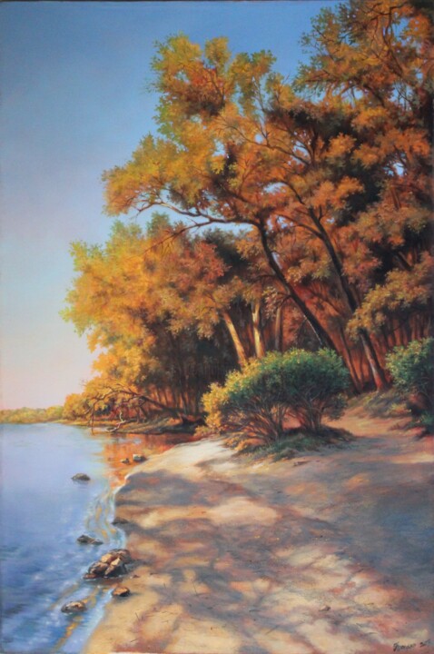 Painting titled "khortitsky coast" by Gennadiy Protsko, Original Artwork, Oil