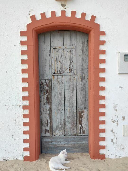 Фотография под названием "Cat's door" - Prst, Подлинное произведение искусства, Цифровая фотография