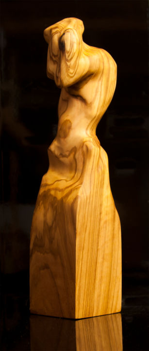 Sculpture titled "Energy Lines" by Przemek Kret, Original Art, Wood