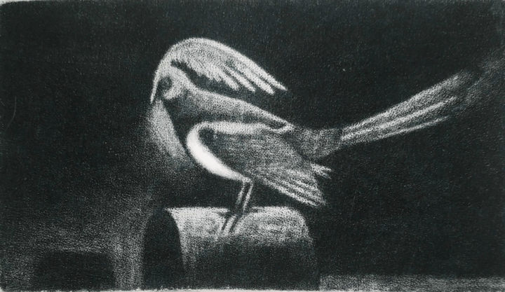 Printmaking titled "The shirdwing" by Vjacheslav Illjashenko, Original Artwork, Etching