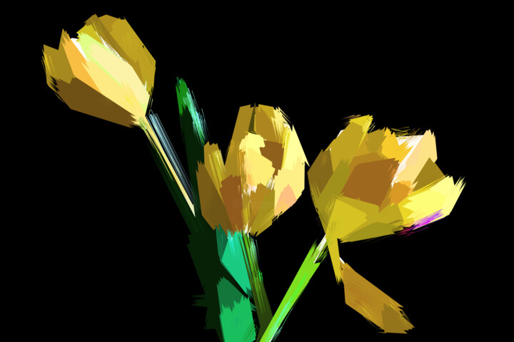 Digitale Kunst mit dem Titel "Abstract Flowers" von Pwa Studio, Original-Kunstwerk, Digitale Malerei