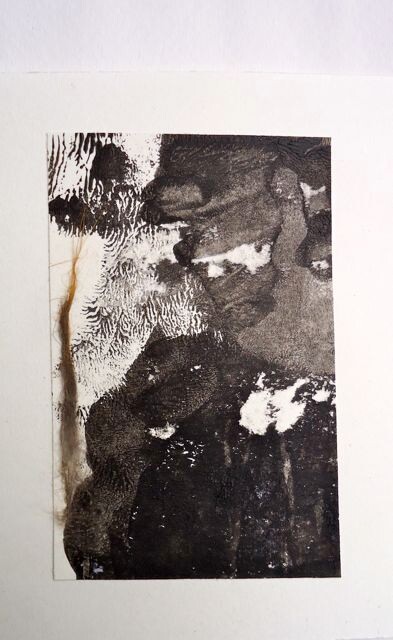 Malarstwo zatytułowany „Mischievous wolf” autorstwa Q.Mumu, Oryginalna praca