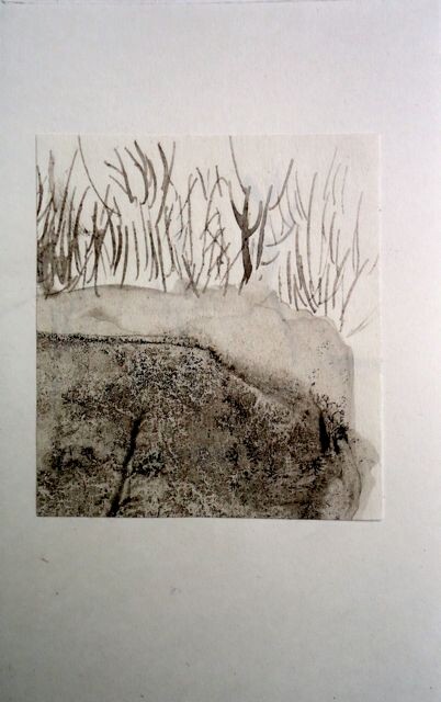 Ζωγραφική με τίτλο "birch forest" από Q.Mumu, Αυθεντικά έργα τέχνης