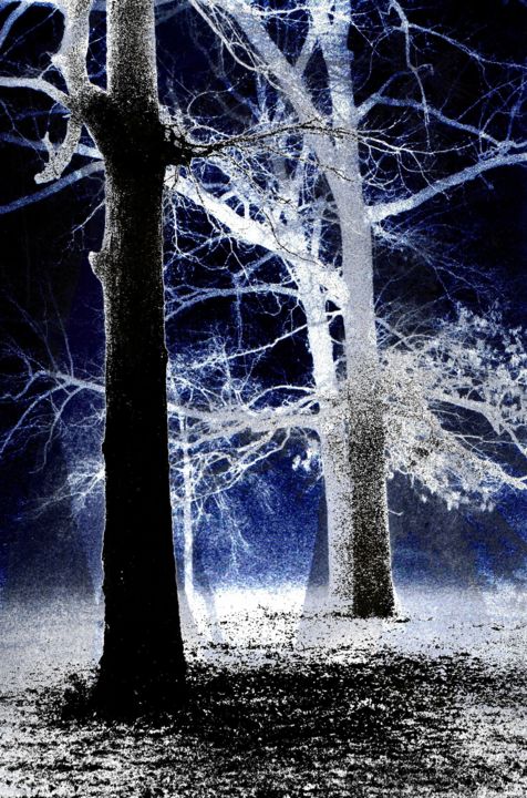 Photographie intitulée "Trees In The Fog (G…" par Robert Grubbs, Œuvre d'art originale, Photographie manipulée