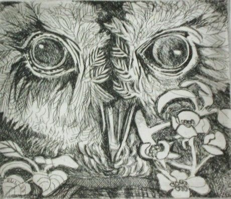 Impressões e gravuras intitulada ""The Owl"" por R J Lloyd, Obras de arte originais, Água forte