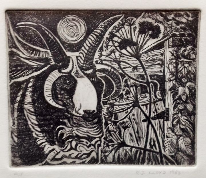 Gravures & estampes intitulée ""Rams Head"" par R J Lloyd, Œuvre d'art originale, Eau-forte