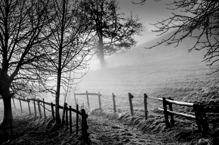 "a foggy morning" başlıklı Fotoğraf R.W.Born tarafından, Orijinal sanat, Dijital Fotoğrafçılık