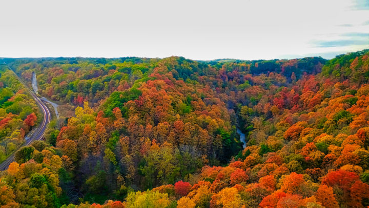 Digital Photograph The colors of the Autumn