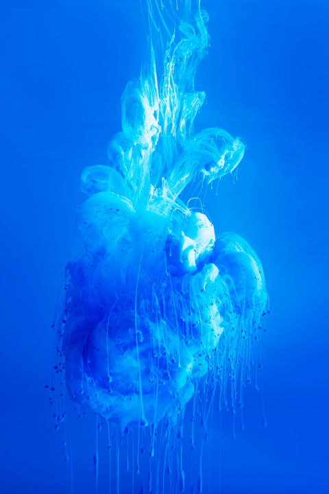 Photography titled "Deep in the Blue" by Rachel Berthiaume, Original Artwork