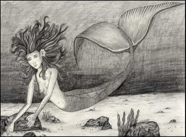 Dibujo titulada "Mermaid" por Rachel Holmes, Obra de arte original
