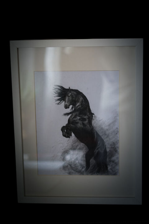 Rysunek zatytułowany „Horse” autorstwa Radosław Tyc (Art), Oryginalna praca, Węgiel drzewny