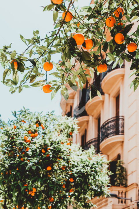 Photography titled "Orange Tree Fruits…" by Radu Bercan, Original Artwork, Digital Photography