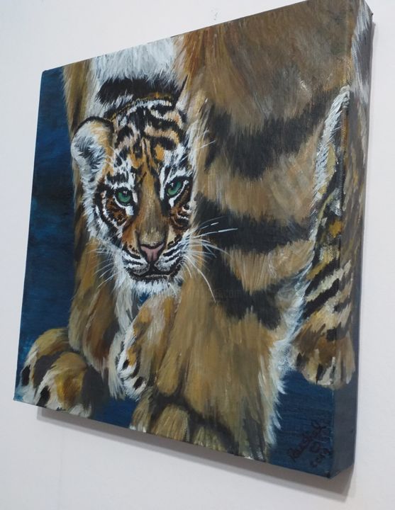 bashful tiger